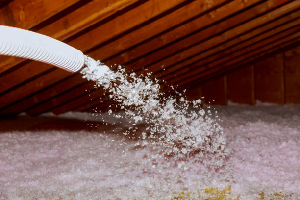 Best Spray Foam Insulation in Evans City, PA
