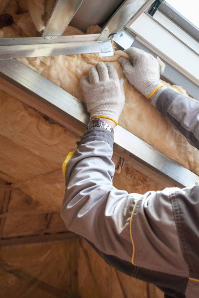 Best Insulation Maintenance and Repair in Evans City, PA