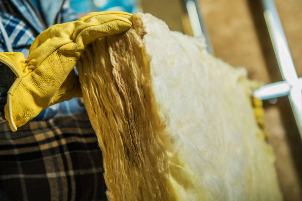 Best Specialized Insulation Services in Evans City, PA