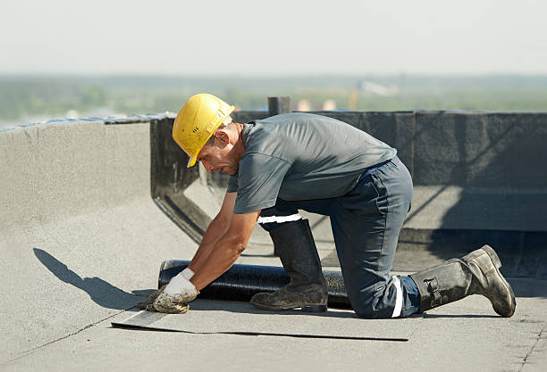 Best Spray Foam Insulation in Evans City, PA