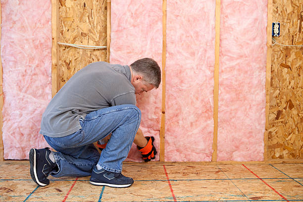 Best Blown-in Insulation in Evans City, PA