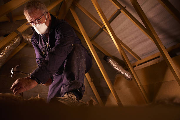 Best DIY Insulation Kits and Guidance in Evans City, PA
