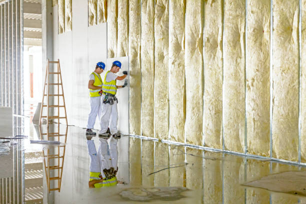 Professional Insulation Contractor in Evans City, PA